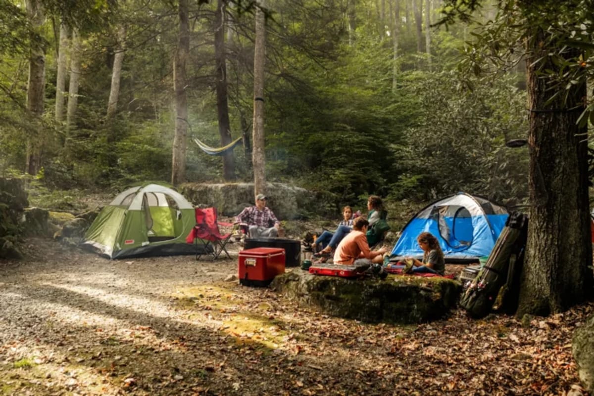 Wideshot of family camping in the woods during the summer or early fall.