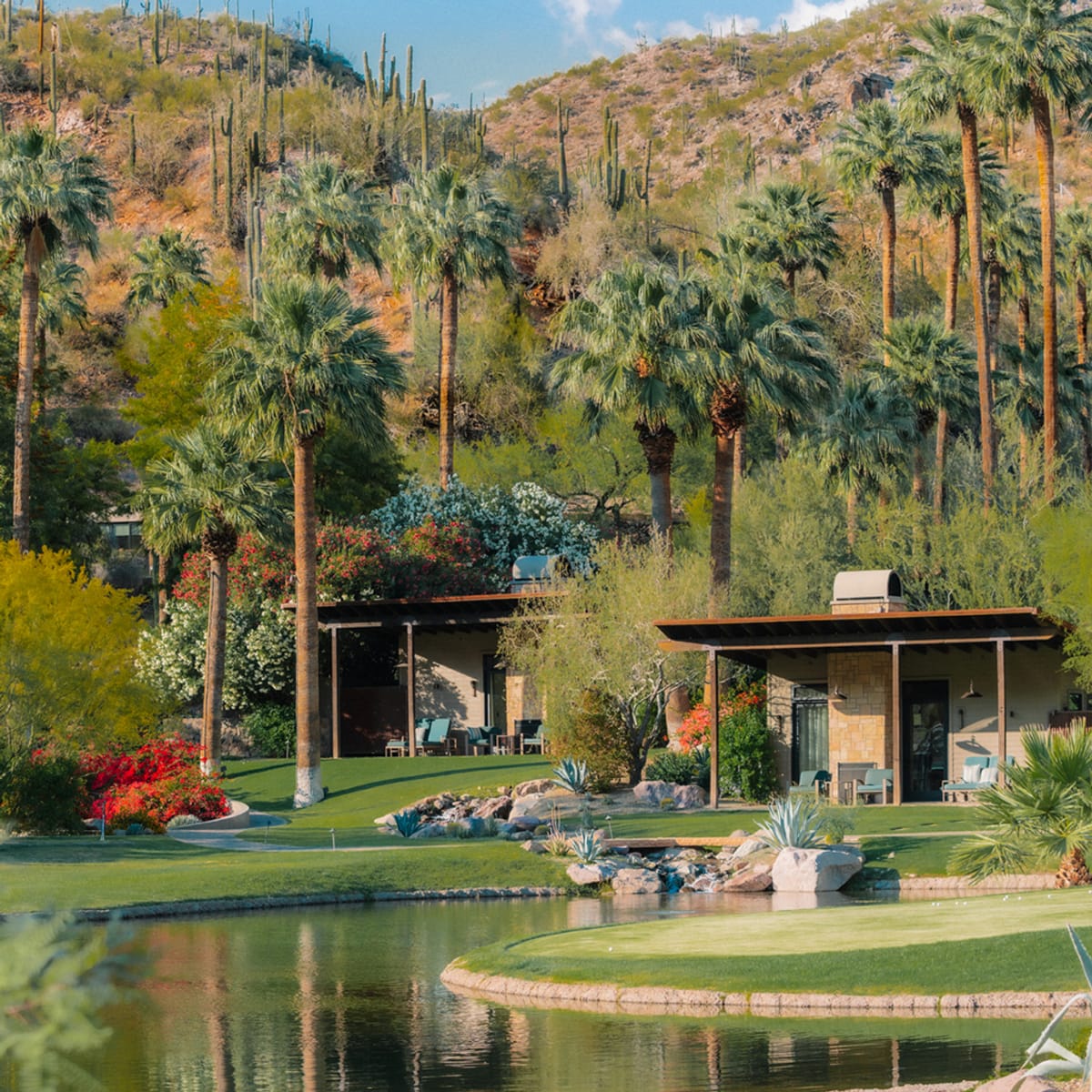 A serene landscape with a pond, palm trees, and luxury accommodations in Arizona.