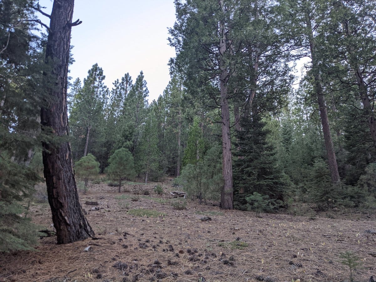 Sierra Hot Springs photo 3