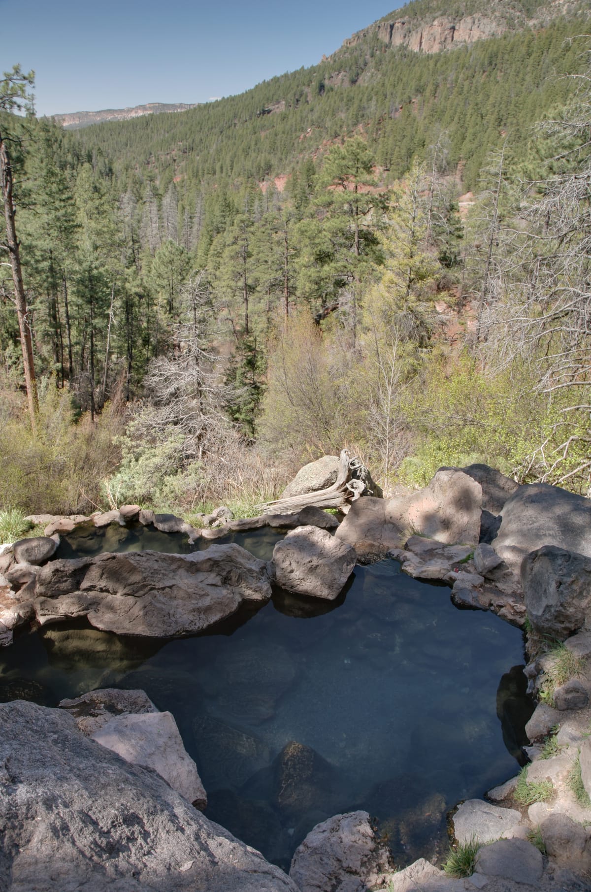 Spence Hot Springs photo 2