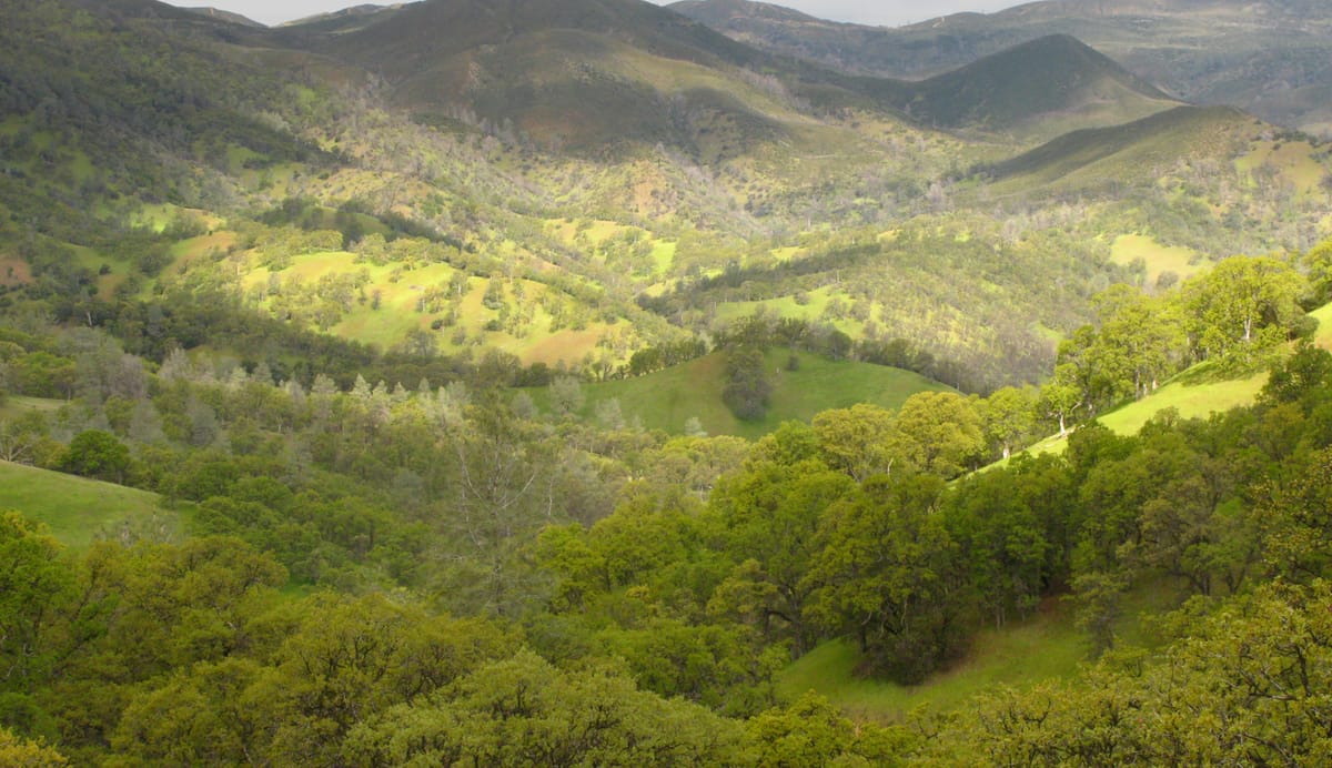 Nature Preserve